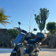 SCOOTER S6 (1)