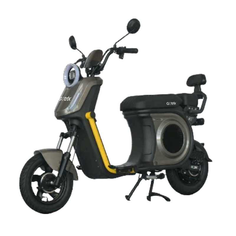SCOOTER ELÉTRICA Q1